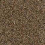 Wool Rich Twist Carpets
